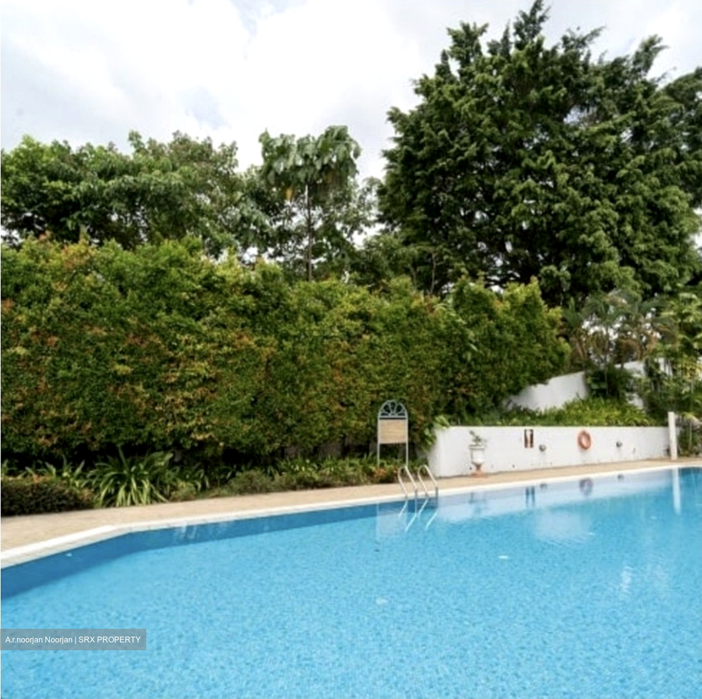 Dunearn Road (D11), Condominium #596694101